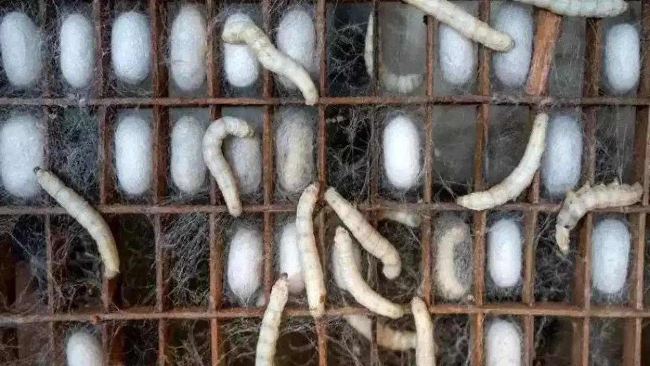 Protect Crops Without Pesticides