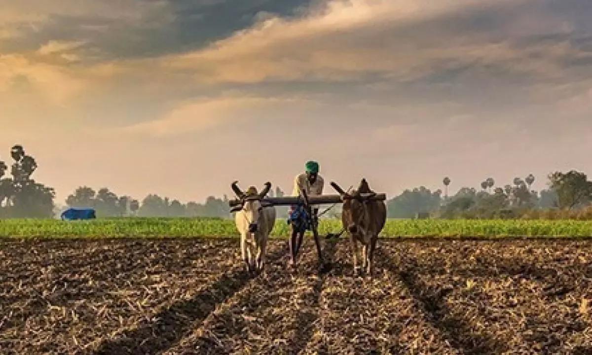 Agricultural Sector 