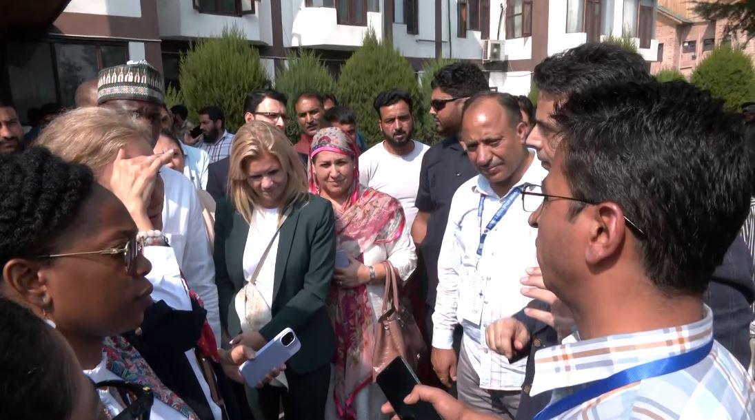 Diplomats visit polling booths