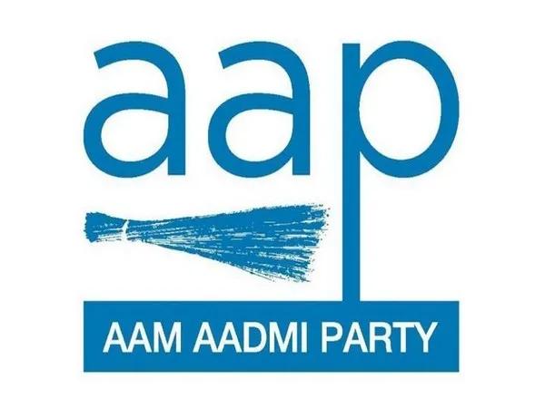 AAP Logo