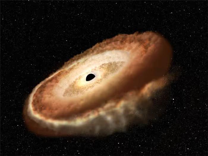 Supermassive Black Holes