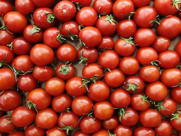 Tomatoes