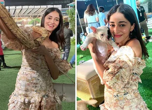 Ananya Panday with puppies and snakes