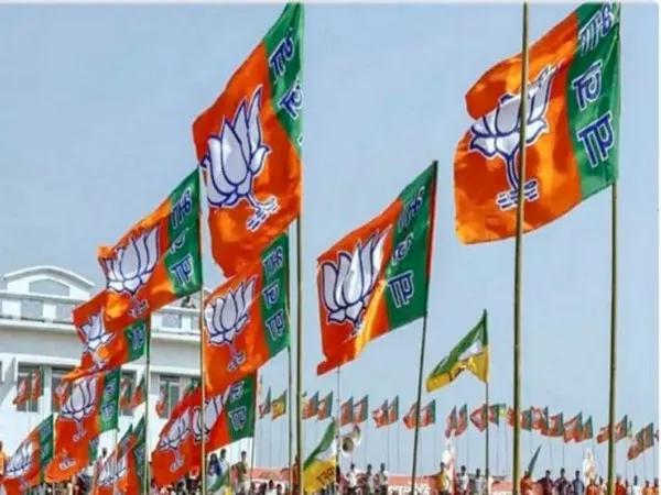 BJP Flags