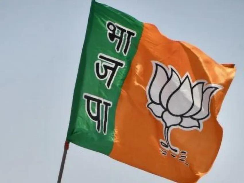 BJP flag