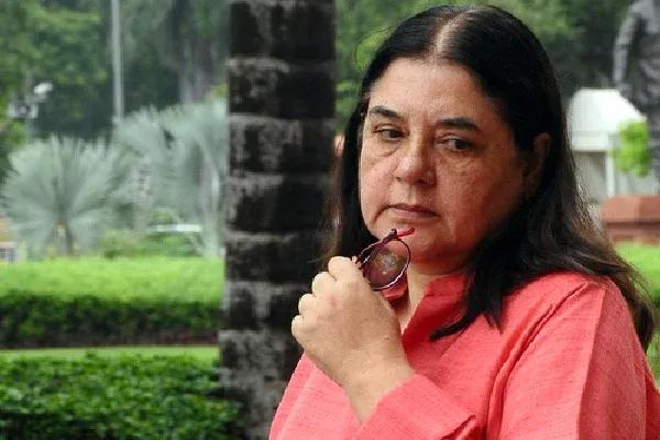 Maneka Gandhi