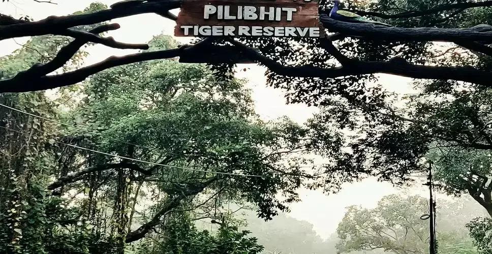 Pilibhit Tiger Reserve