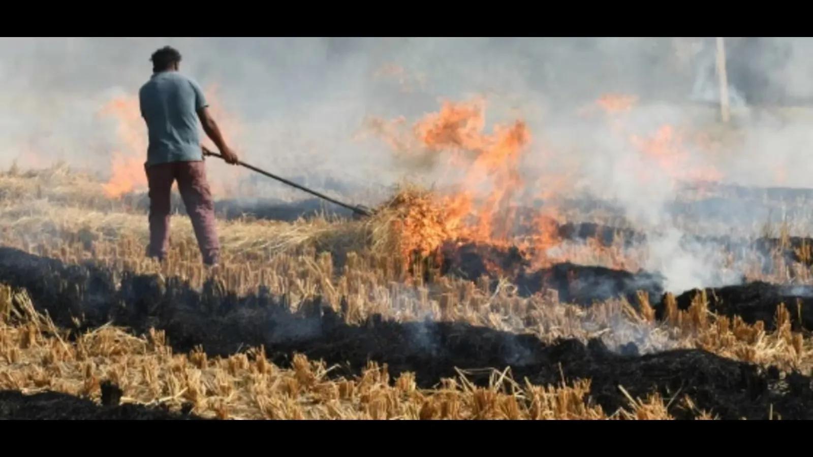 UP: 65% dip in stubble burning incidents in five years