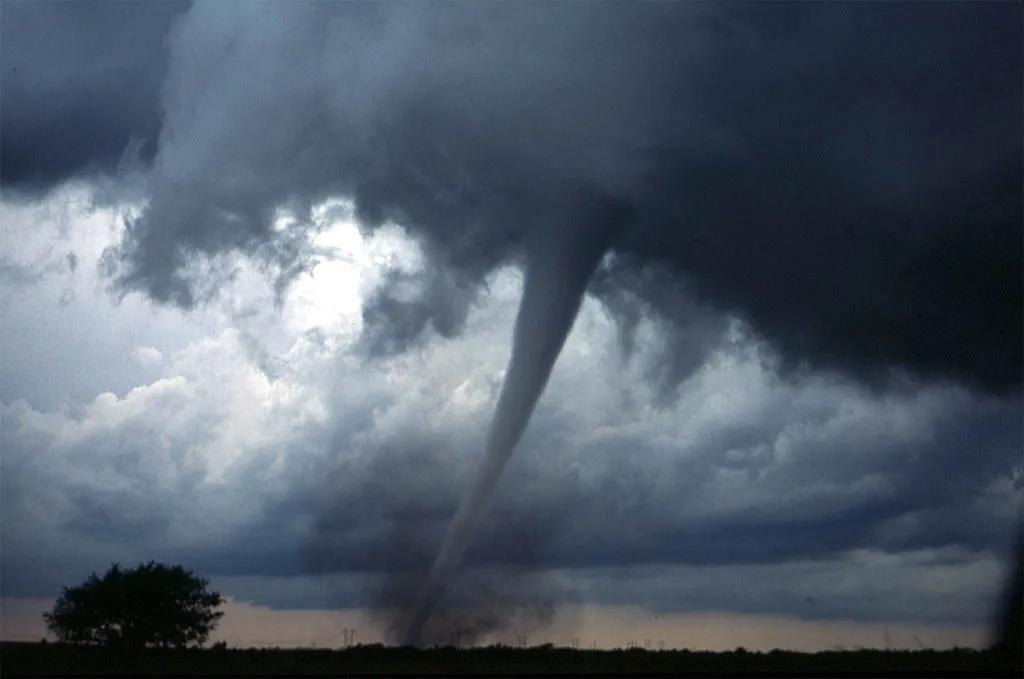 5 killed, 4 severely injured as tornado hits China