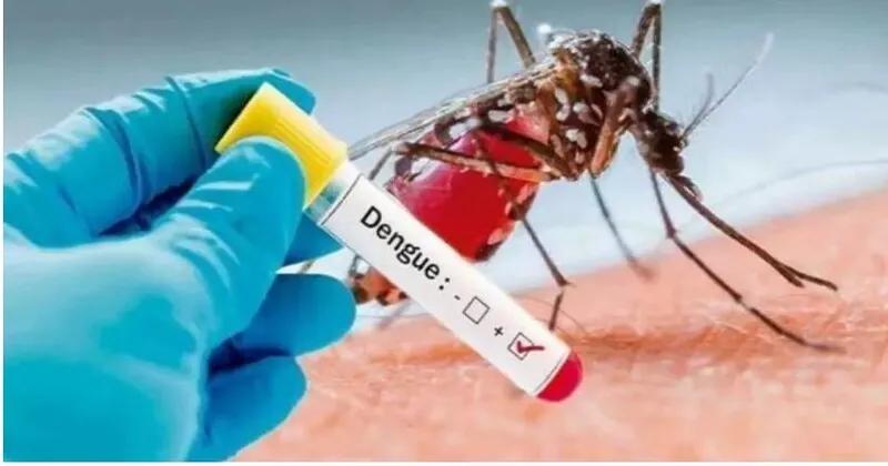 Dengue Outbreak 