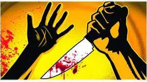 Delhi Crime: Siblings stabbed to death, accused held