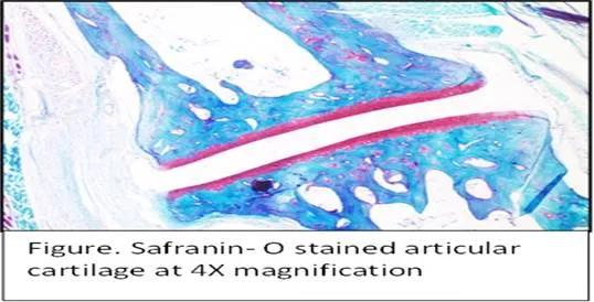 Synthesised Biocompatible Drug