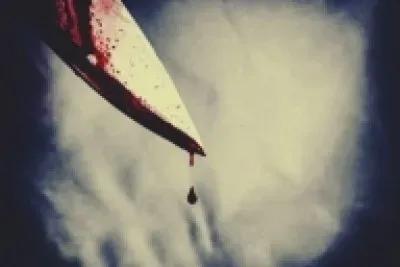 Man stabs wife to death in Delhi