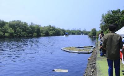 ED freezes Rs 47 cr in Mithi River desilting scam after raids on BMC contractors, engineer