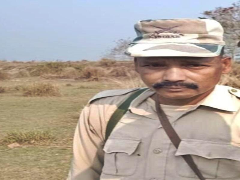 Forest guard killed, another injured in rhino attack in Kaziranga National Park
