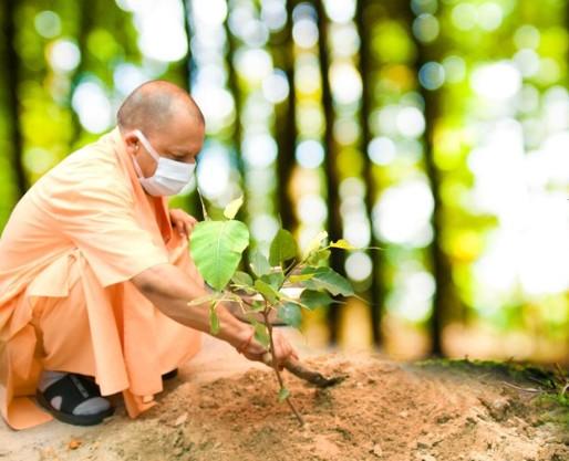 Making UP green state: Over 242 crore saplings planted in nine years