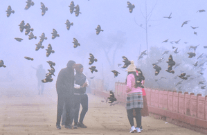 Cold wave alert in Rajasthan; temperatures drop below 10 degrees Celsius in several cities