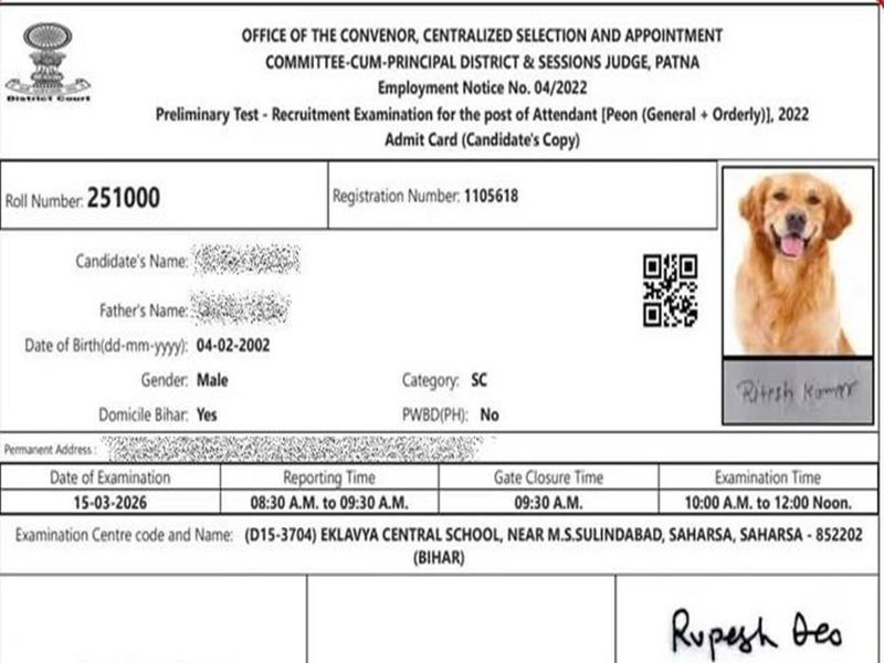 Bihar court recruitment admit card shows dog's photo instead of candidate