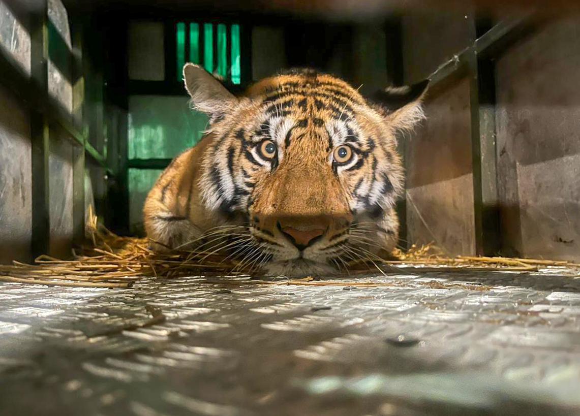 Environment Ministry submits biodiversity report under Kunming–Montreal framework