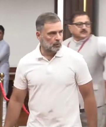 Sonia, Rahul Gandhi cast their votes for VP election