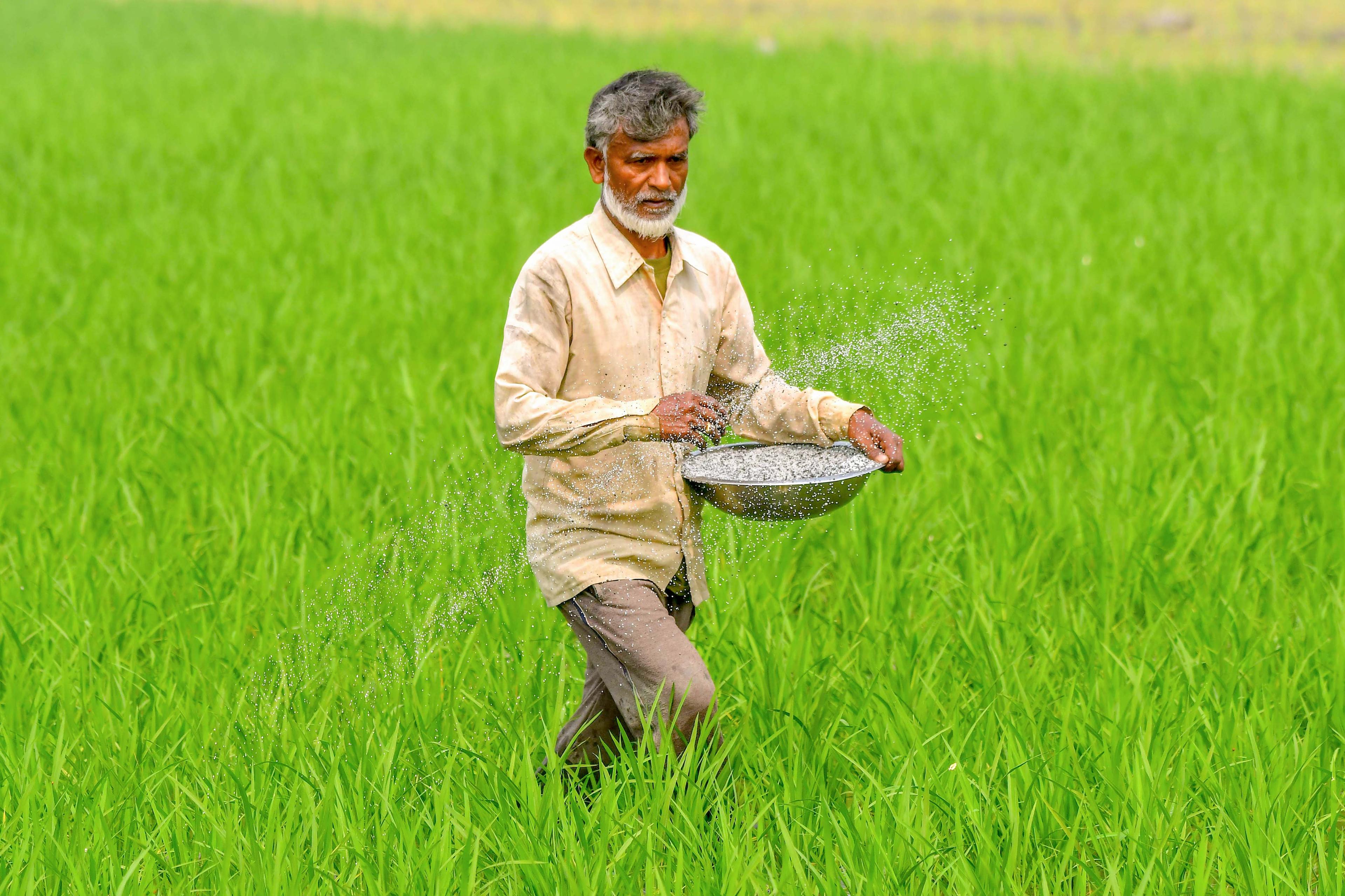 Govt assures steady fertiliser supplies through import diversification, capacity expansion