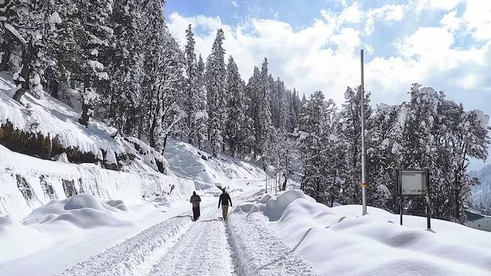 Severe Cold Wave Grips Himachal Pradesh