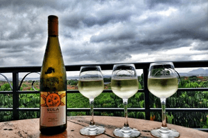 Sula Vineyards' revenue falls 7.9 pc in Q1; stock drops nearly 40 pc in 1 year