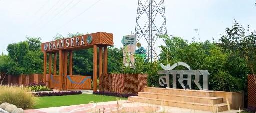 Delhi L-G invites citizens to visit 'ecological wonder' Baansera grasslands