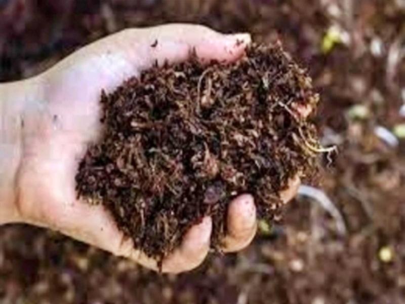 BJD slams Mohan Majhi-led govt over fertiliser shortage in Odisha