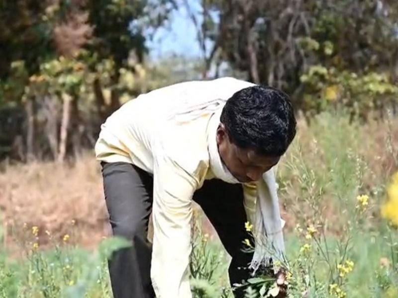 Saur Sujala Yojana improves irrigation, raises farm income in Chhattisgarh's Mohbhatta village