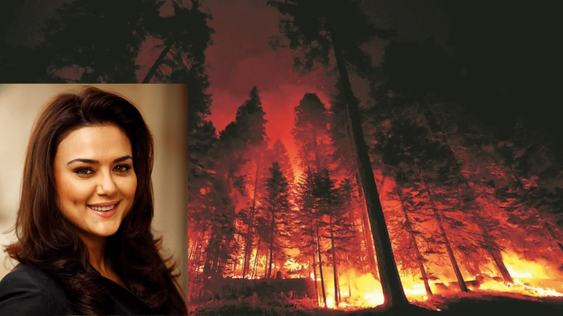 Preity Zinta expresses concern over LA wildfires
