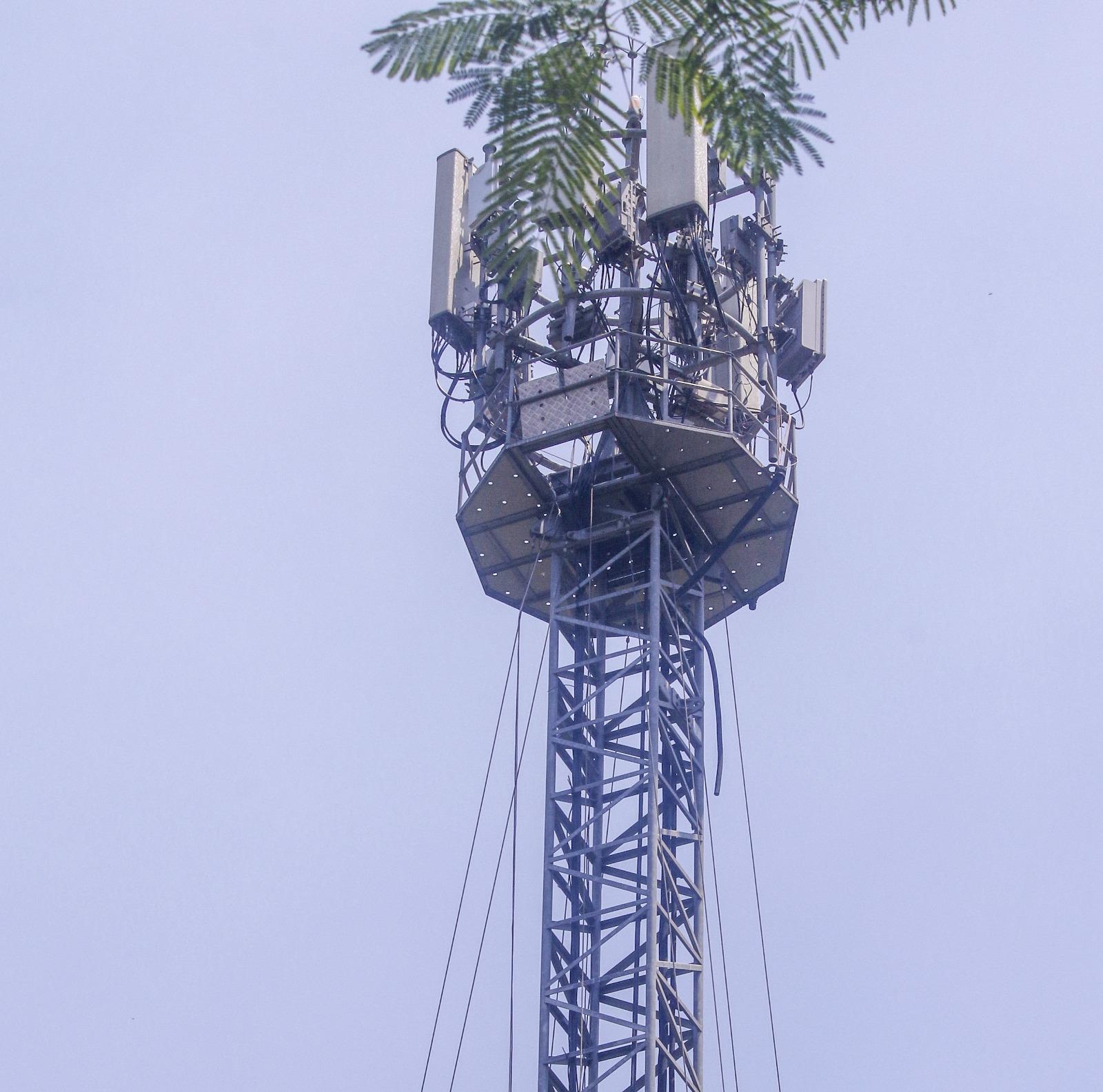 Woman climbs mobile tower in Bihar's Gopalganj demanding her lover's release