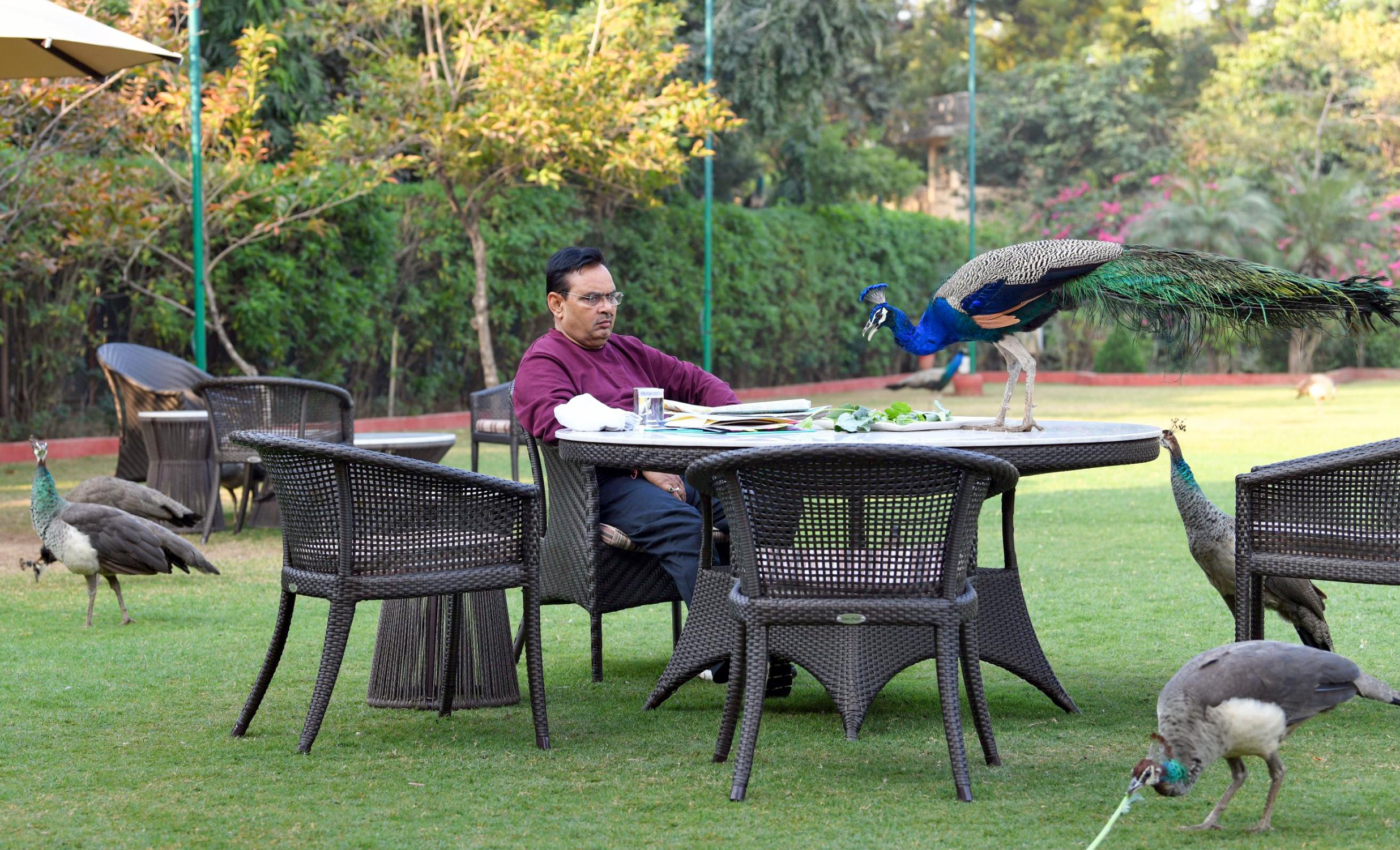 ‘Not only tradition, but spiritual practice too’: Rajasthan CM on Navrati fast