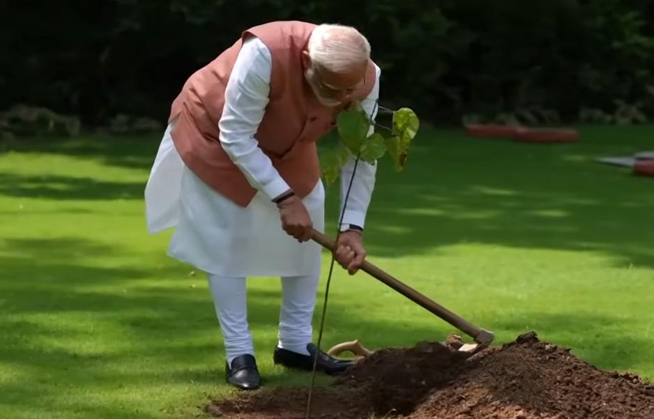 Mass participation driving change: PM Modi on plantation record, seed conservation efforts