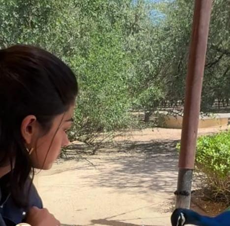 Rashmika Mandanna feeds a Peacock, calls being close to nature 'liberating'