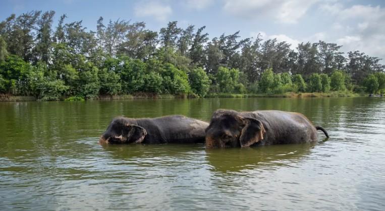 Will fully comply with SC order to appoint SIT: Vantara