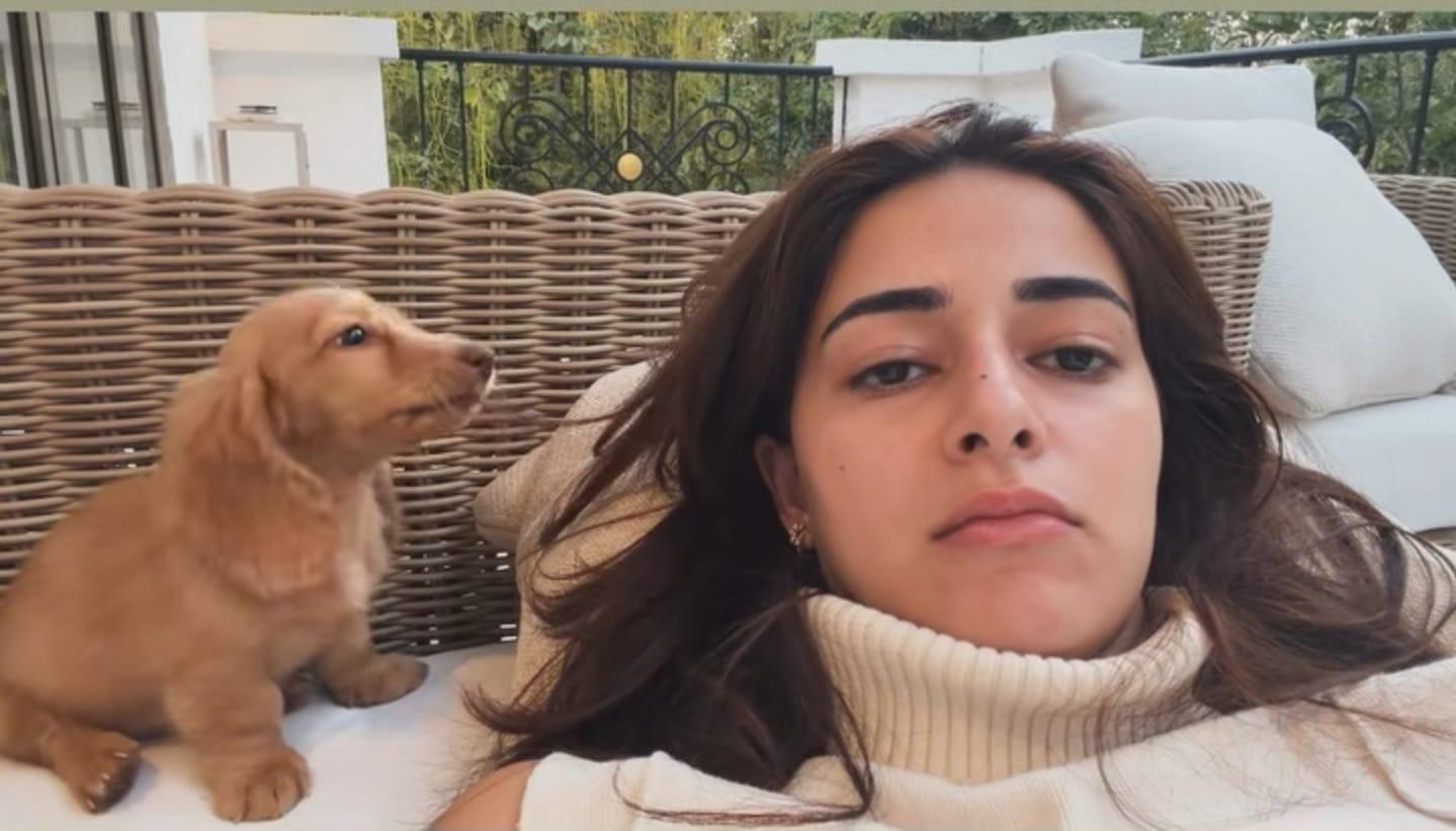 Ananya Panday's fur baby makes her realise that she needs a haircut