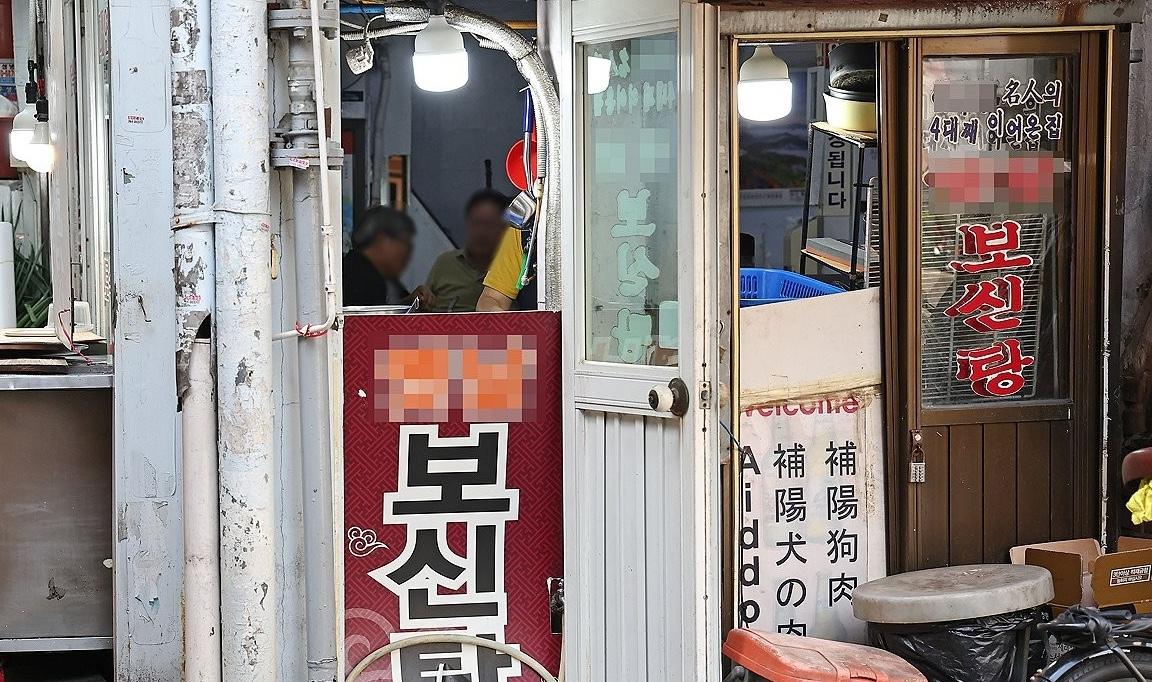 70 pc of dog farms in S. Korea closed business after dog meat ban: Ministry