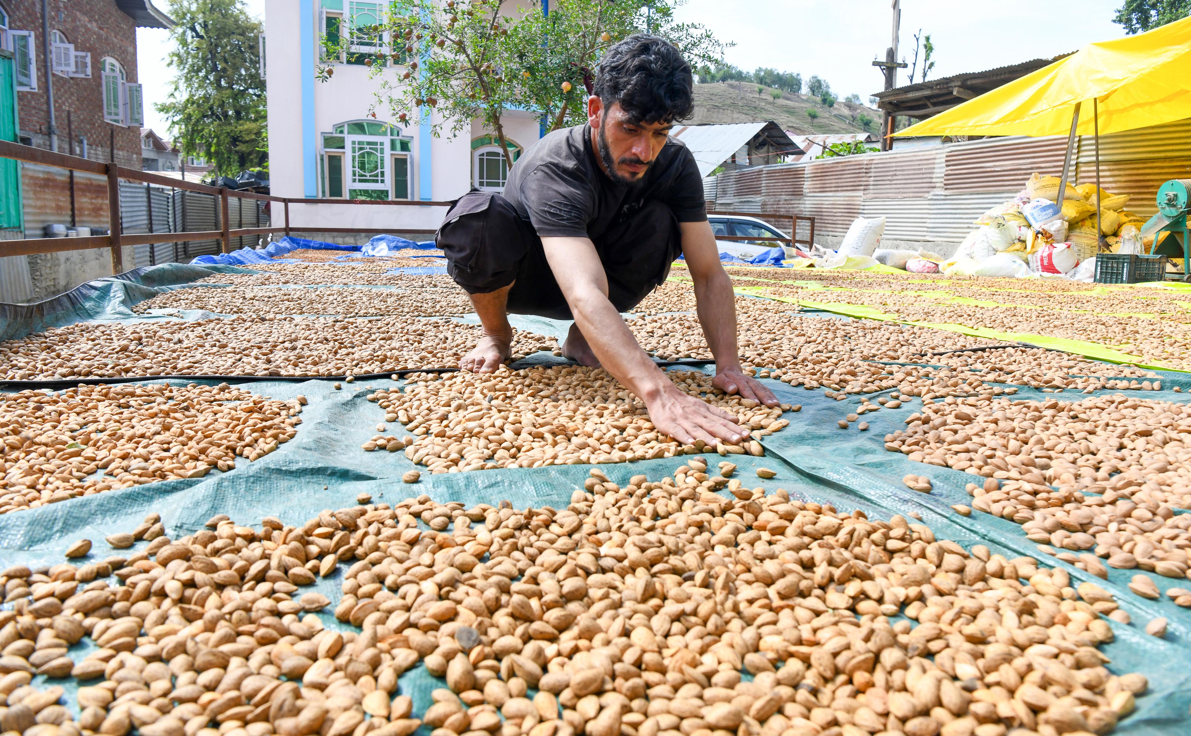 From handicraft to tourism, GST rejig to boost J&K’s economy