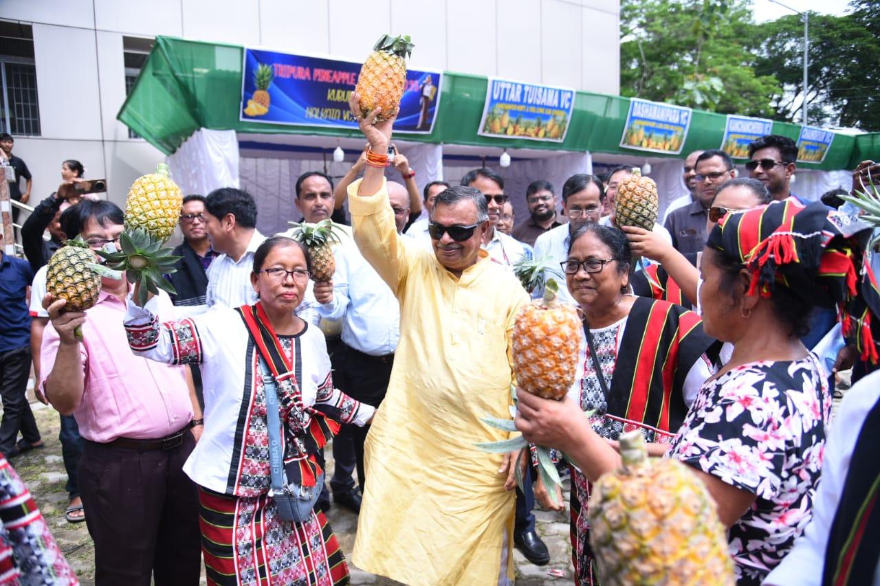 Tripura exported 73.15 MT of pineapple in seven years: Minister