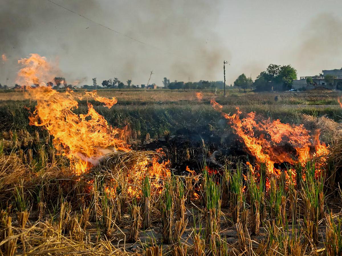 strubble burning in Kaithal