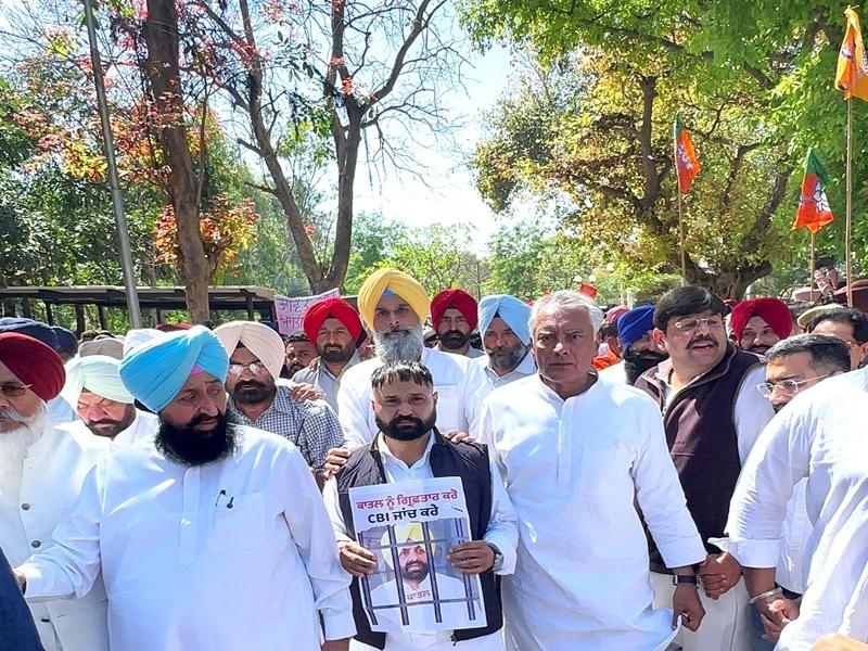 Group 'looting Punjab' has taken control of govt: BJP