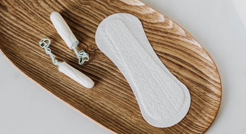 Karnataka govt approves one paid menstrual leave every month