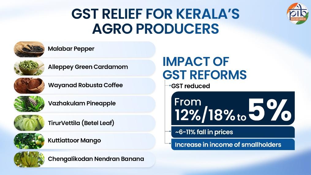 From spice gardens to cashew corridors, GST rejig to boost Kerala's economy