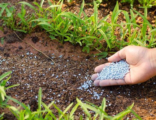 Govt caps fertiliser prices to shield farmers from global volatility