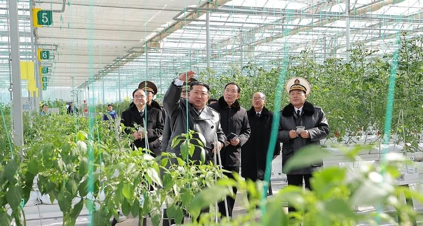 North Korea inaugurates greenhouse farm in Sinuiju ahead of key party congress