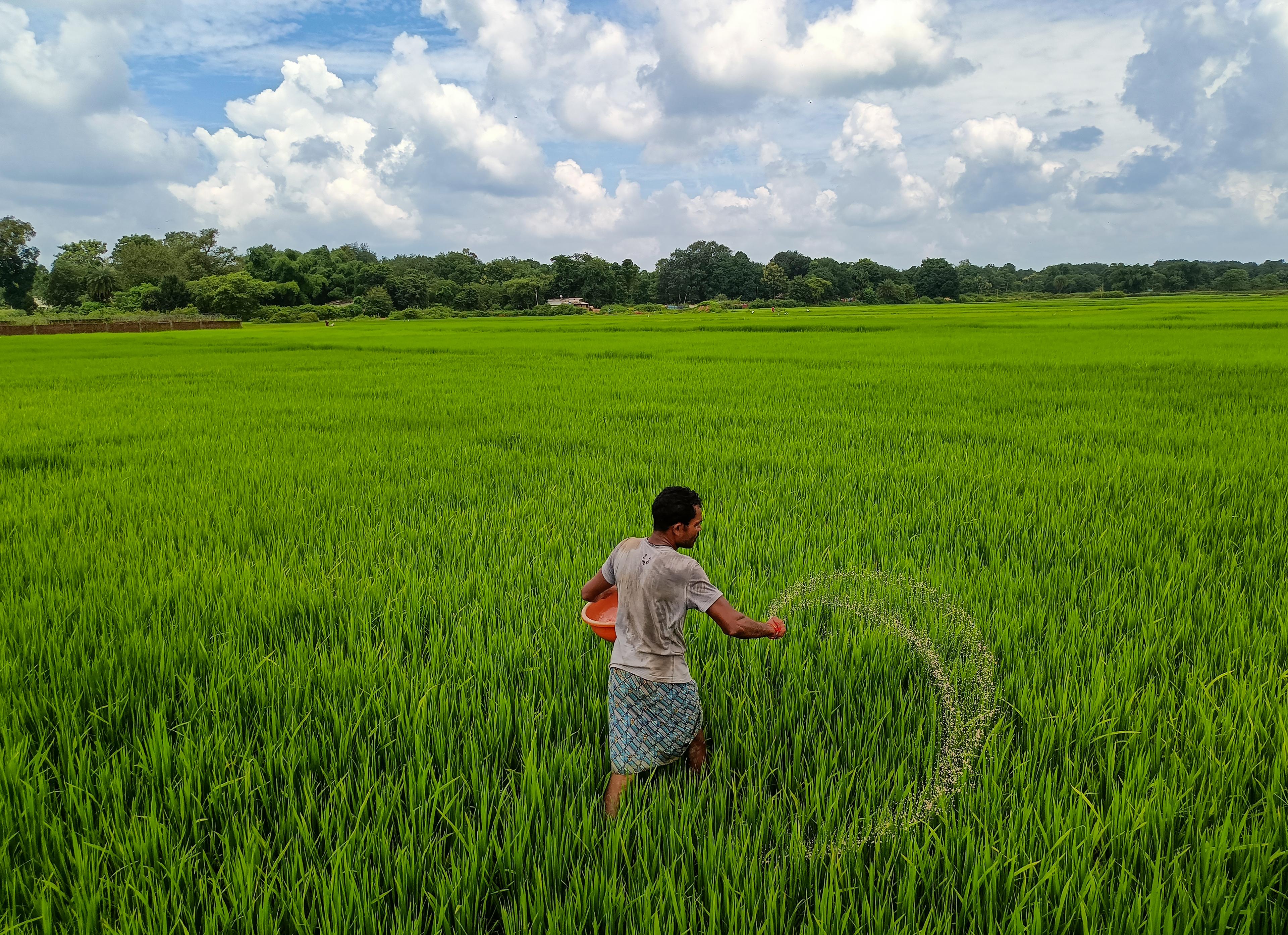 India takes lead with AI-driven forecasts to help farmers face erratic weather