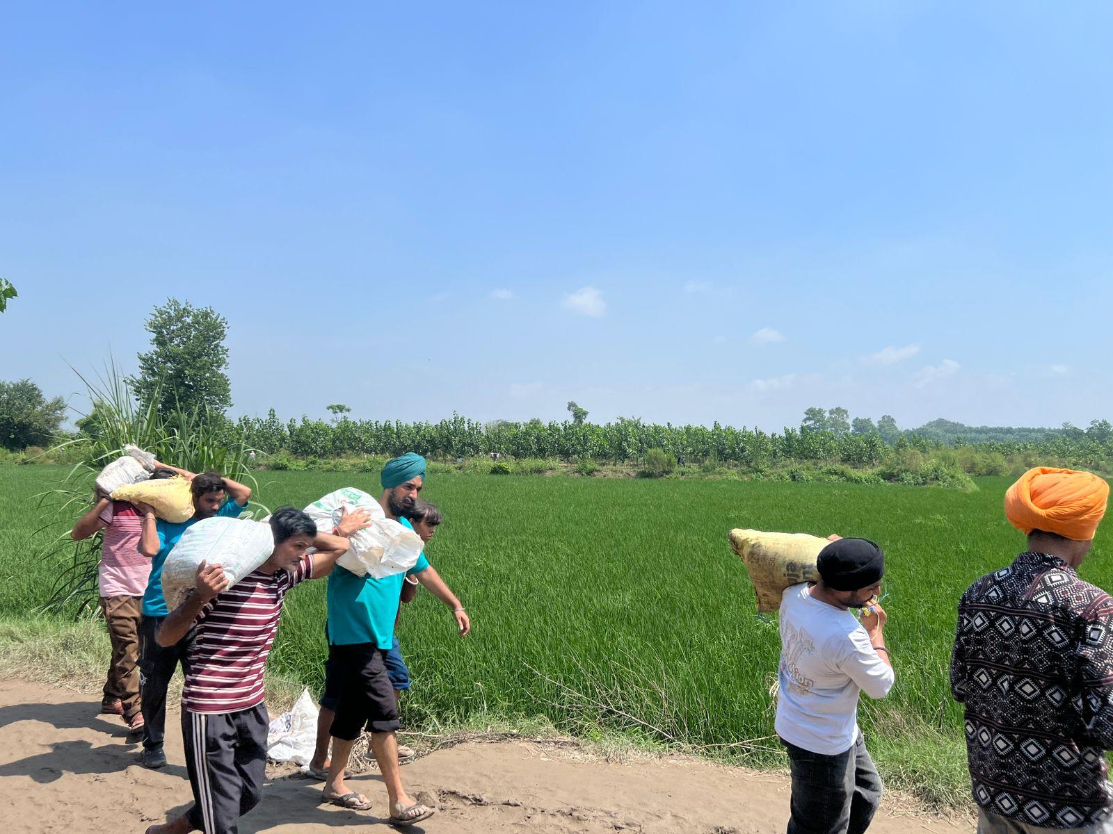 Udta Punjab no more! Youth high on spirit of 'sewa', 'Chardi Kala' helping in survival, revival of flood-ravaged state