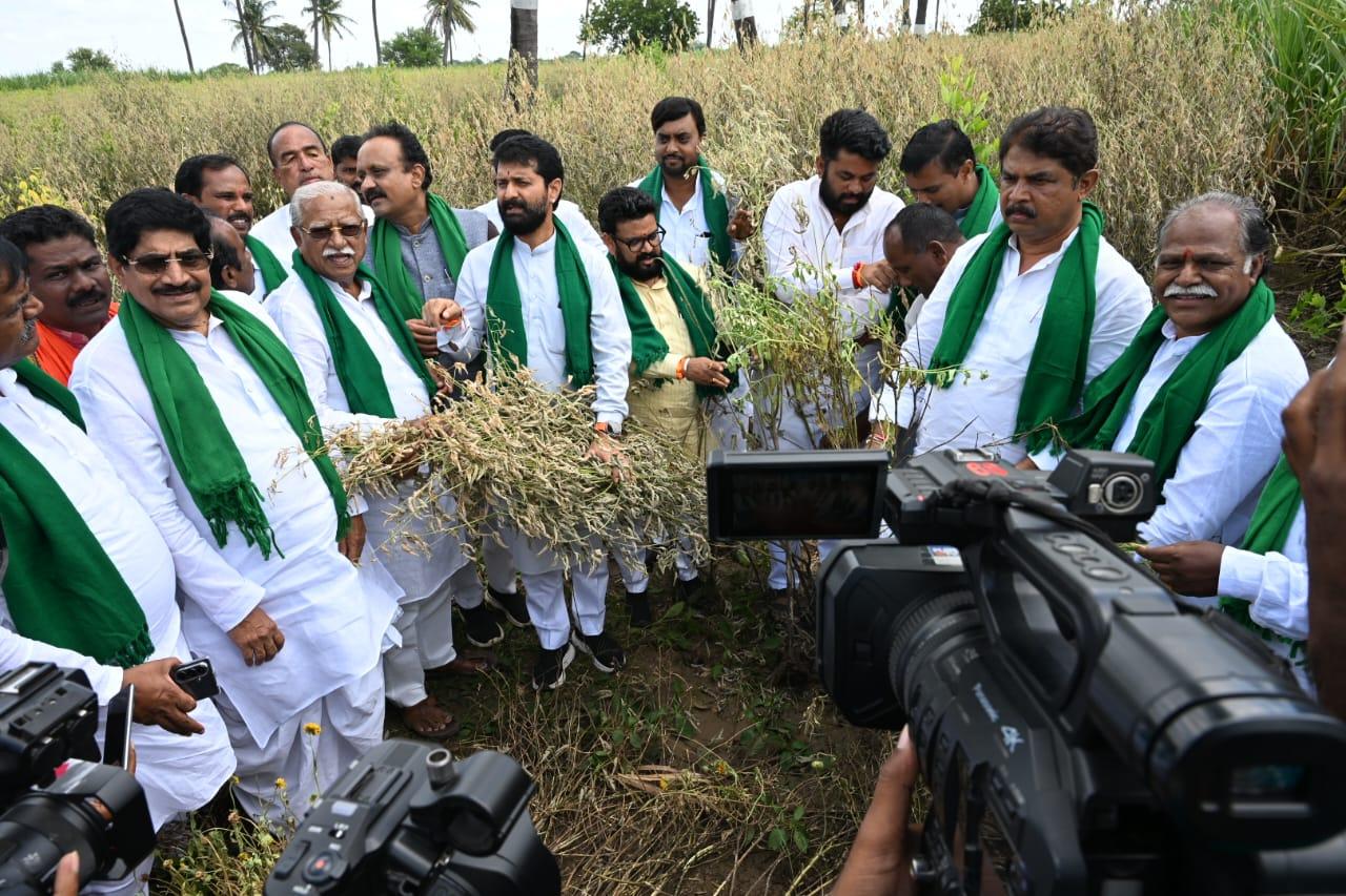 Conduct immediate crop damage survey, provide compensation: Karnataka BJP to Siddaramaiah govt