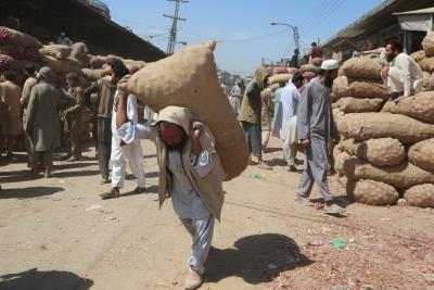 Pakistan: Flour price surge in Khyber Pakhtunkhwa sparks concerns among residents